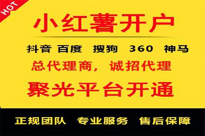 某电商平台的SEM推广实践与效果展示